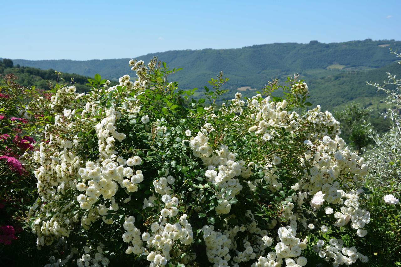 Il Poggiolo Di Parrano Pension Buitenkant foto